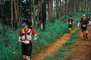 BIB: 
                            <button type="button" onclick="openModal(25673438)" class="btn btn-primary btn-sm float-right btn-popup" data-toggle="modal" data-target=".modal-high-quality">
                        <i class="fas fa-shopping-cart"></i> Add to Cart
                    </button>
                                            <button type="button" onclick="isThisMe(25673438, true)" class="btn btn-success btn-sm float-right btn-popup btn-isme hidden" data-toggle="tooltip" data-placement="bottom" title="นี่คือรูปของคุณใช่ไหม คลิกที่นี่เพื่อเอาเข้าอัลบั้ม">
                        <i class="fas fa-plus"></i> Add to album
                    </button>
                    <button type="button" onclick="isThisMe(25673438, false)" class="btn btn-warning btn-sm float-right btn-popup btn-isnotme hidden">
                        <i class="fas fa-ban"></i> Remove from album
                    </button>